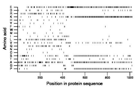 amino acid map