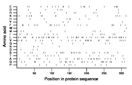 amino acid map