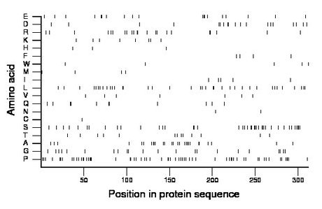 amino acid map