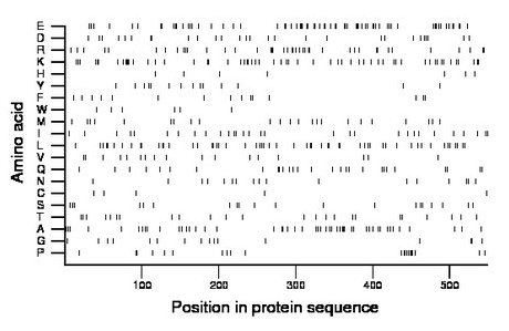 amino acid map