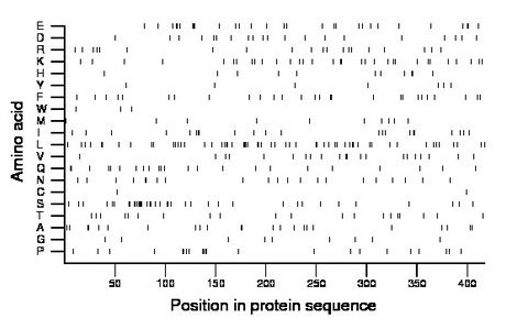 amino acid map
