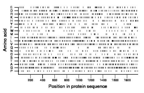 amino acid map