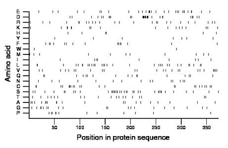 amino acid map