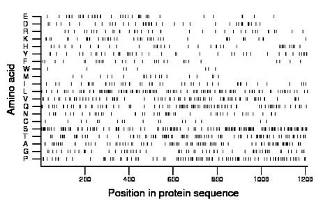 amino acid map