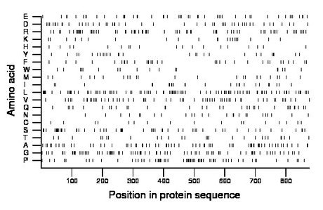 amino acid map
