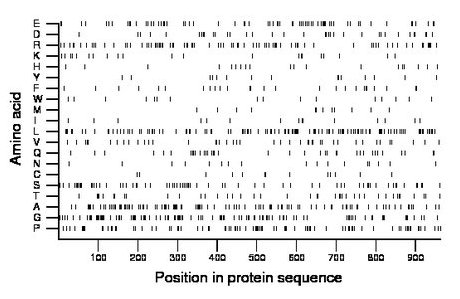 amino acid map