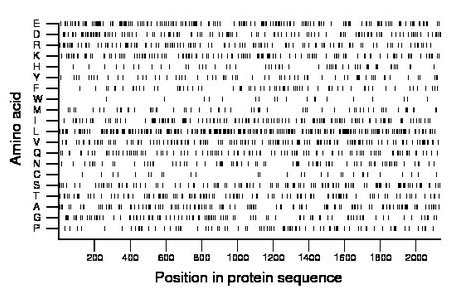 amino acid map