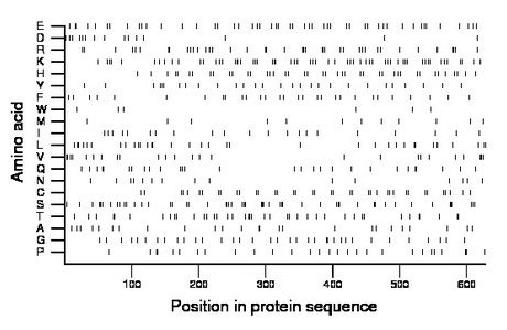 amino acid map