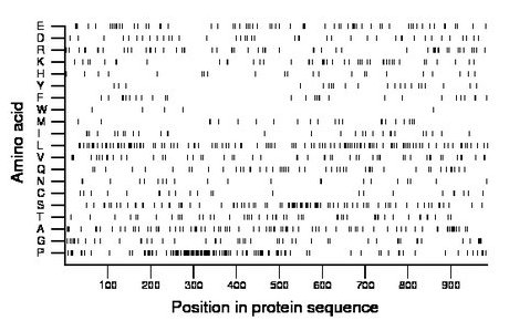 amino acid map