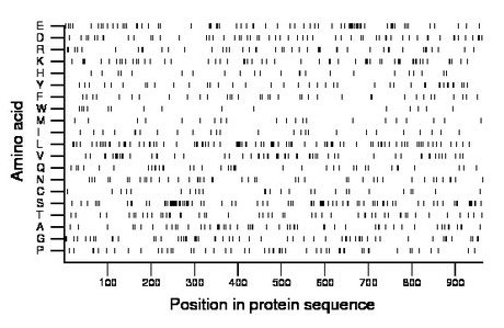 amino acid map
