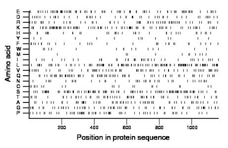 amino acid map