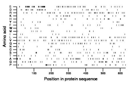 amino acid map