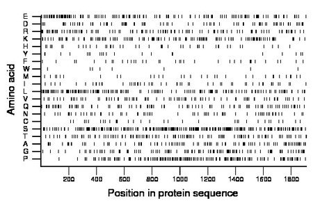 amino acid map