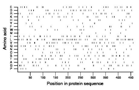 amino acid map
