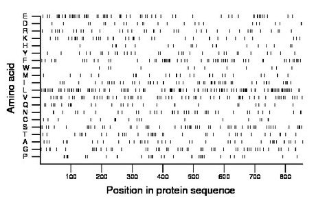 amino acid map