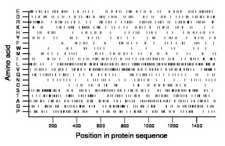 amino acid map