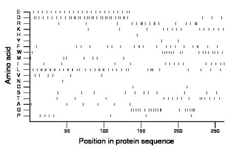amino acid map
