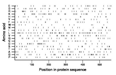 amino acid map