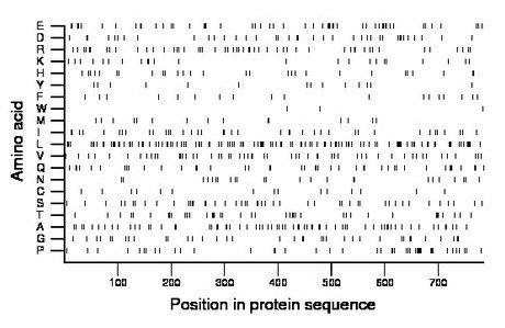 amino acid map