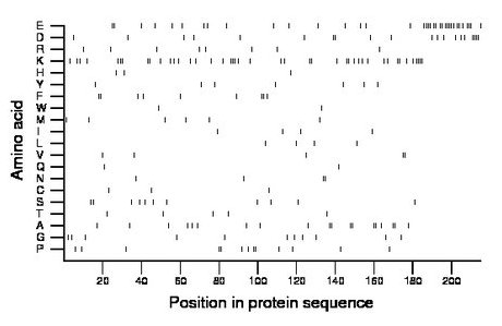 amino acid map