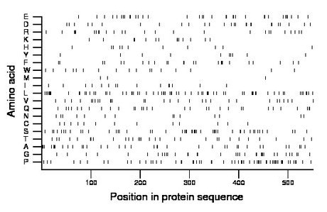 amino acid map