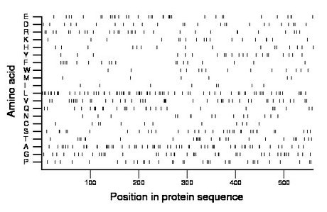 amino acid map