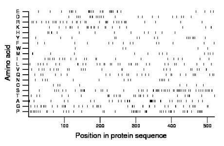 amino acid map