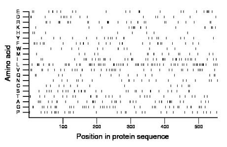 amino acid map