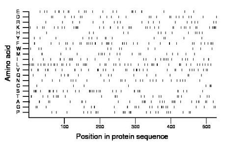 amino acid map