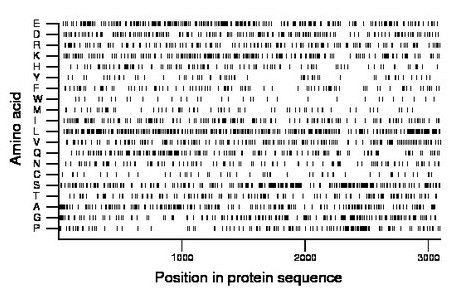 amino acid map