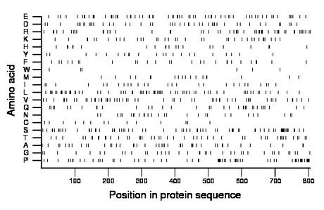 amino acid map