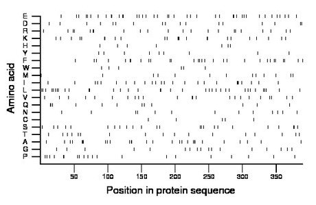 amino acid map