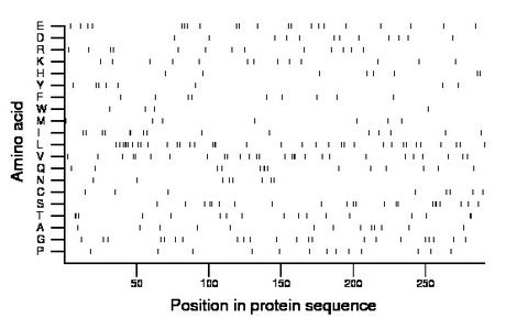 amino acid map