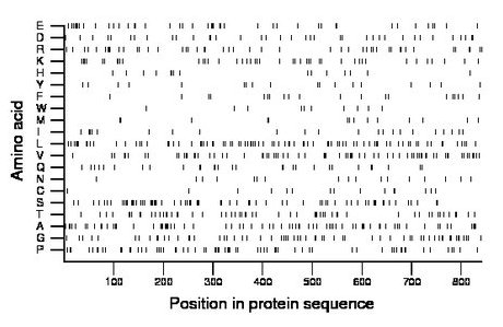 amino acid map