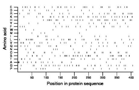 amino acid map