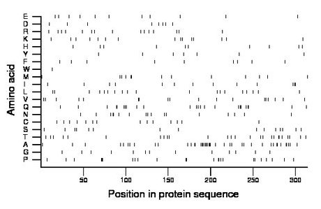 amino acid map