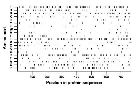 amino acid map