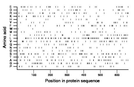 amino acid map