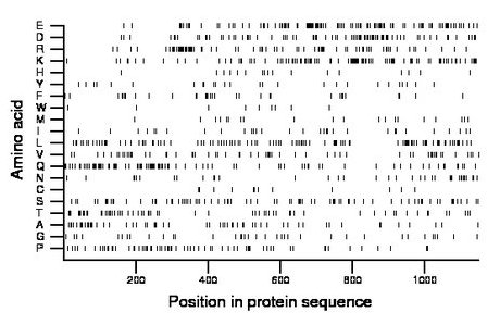 amino acid map