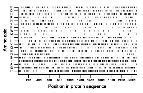 amino acid map