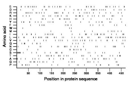 amino acid map