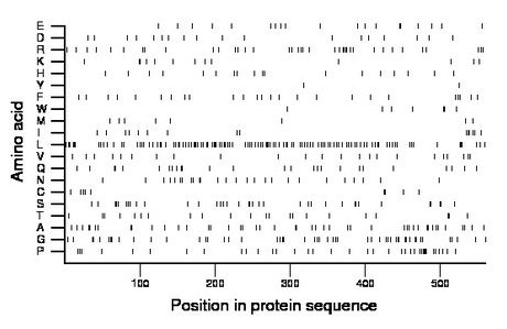 amino acid map