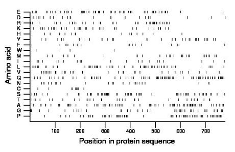 amino acid map