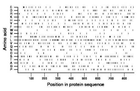amino acid map
