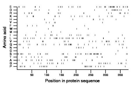 amino acid map