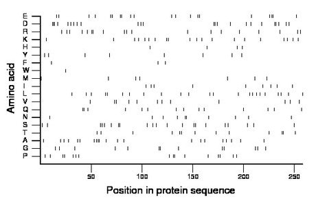 amino acid map