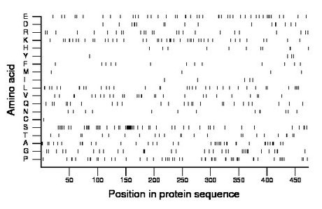 amino acid map