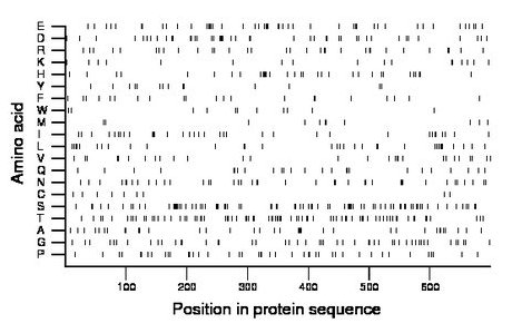 amino acid map