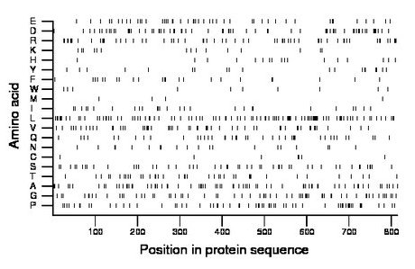 amino acid map