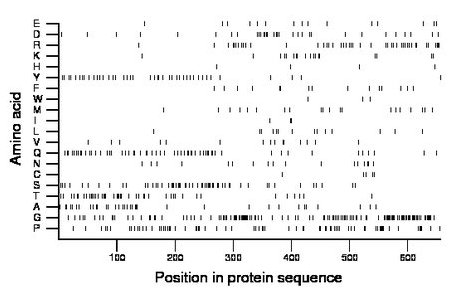 amino acid map